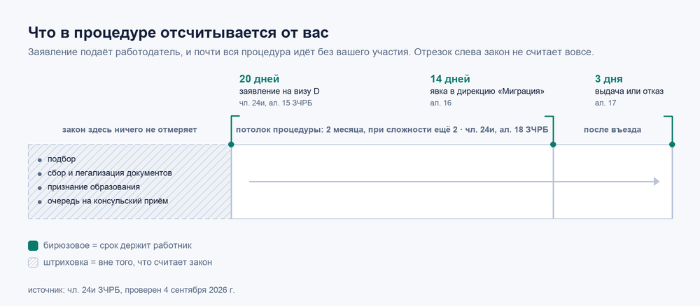 Сроки процедуры единого разрешения: 20 дней на заявление о визе D, 14 дней на явку после въезда и 3 дня на выдачу держит сам работник, а подбор и легализация документов в двухмесячный таван закона не входят